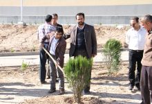 گزارش تصویری مراسم روز درخت کاری و تقدیر از نیروهای باغبانی دانشگاه
